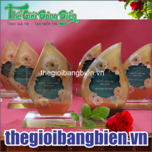 kỷ niệm chương pha lê đẹp