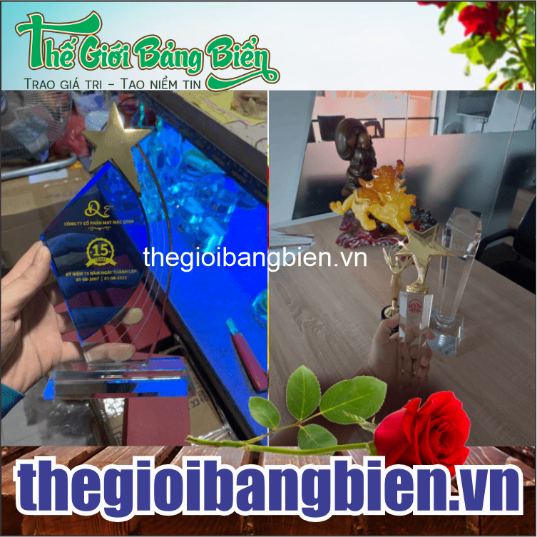 kỷ niệm chương pha lê sang trọng