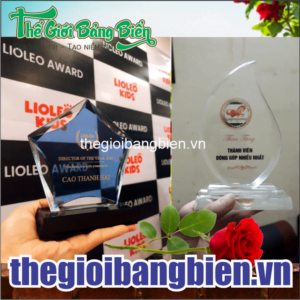 mẫu kỷ niệm chương pha lê