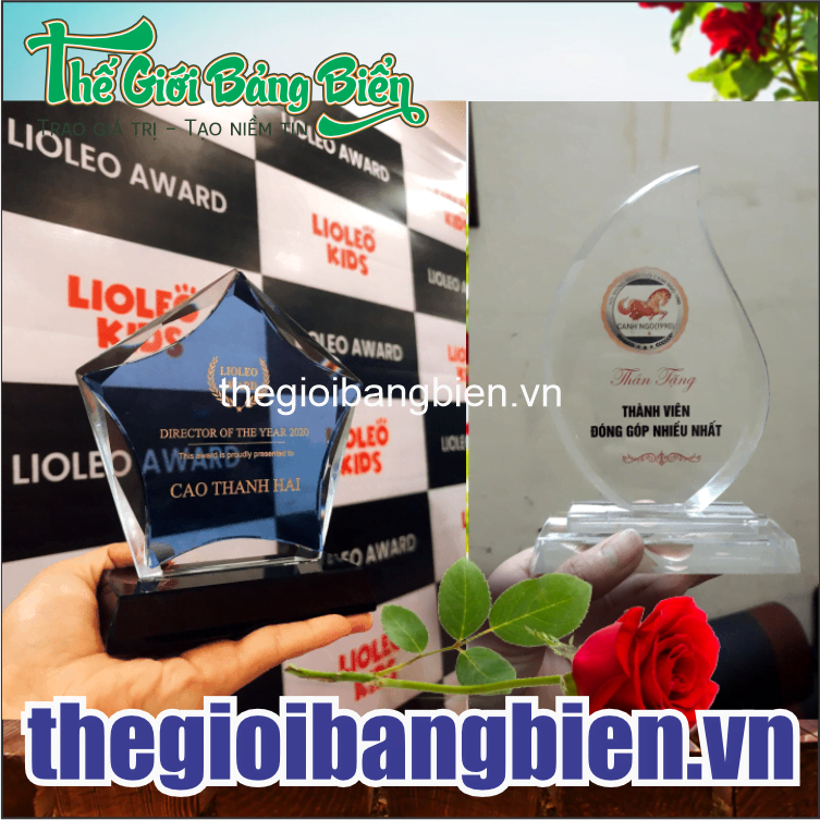 mẫu kỷ niệm chương pha lê